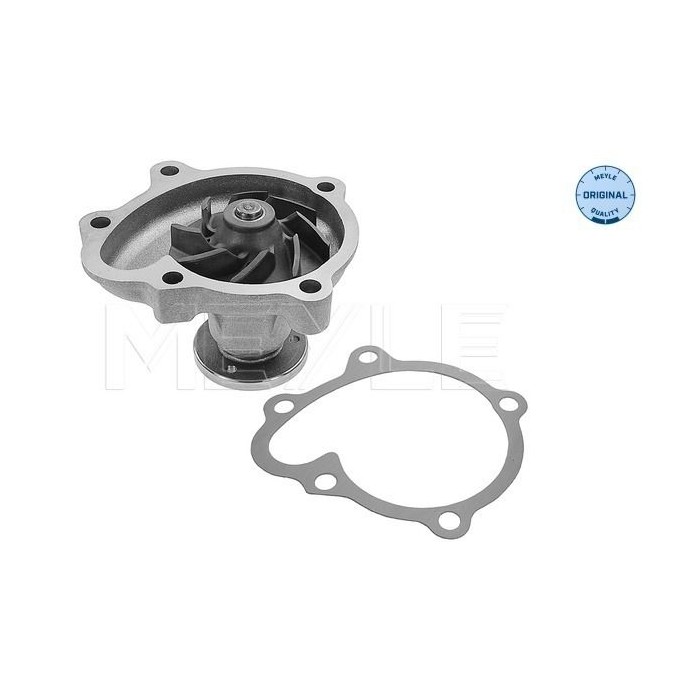 meyle: Wasserpumpe 6132200012