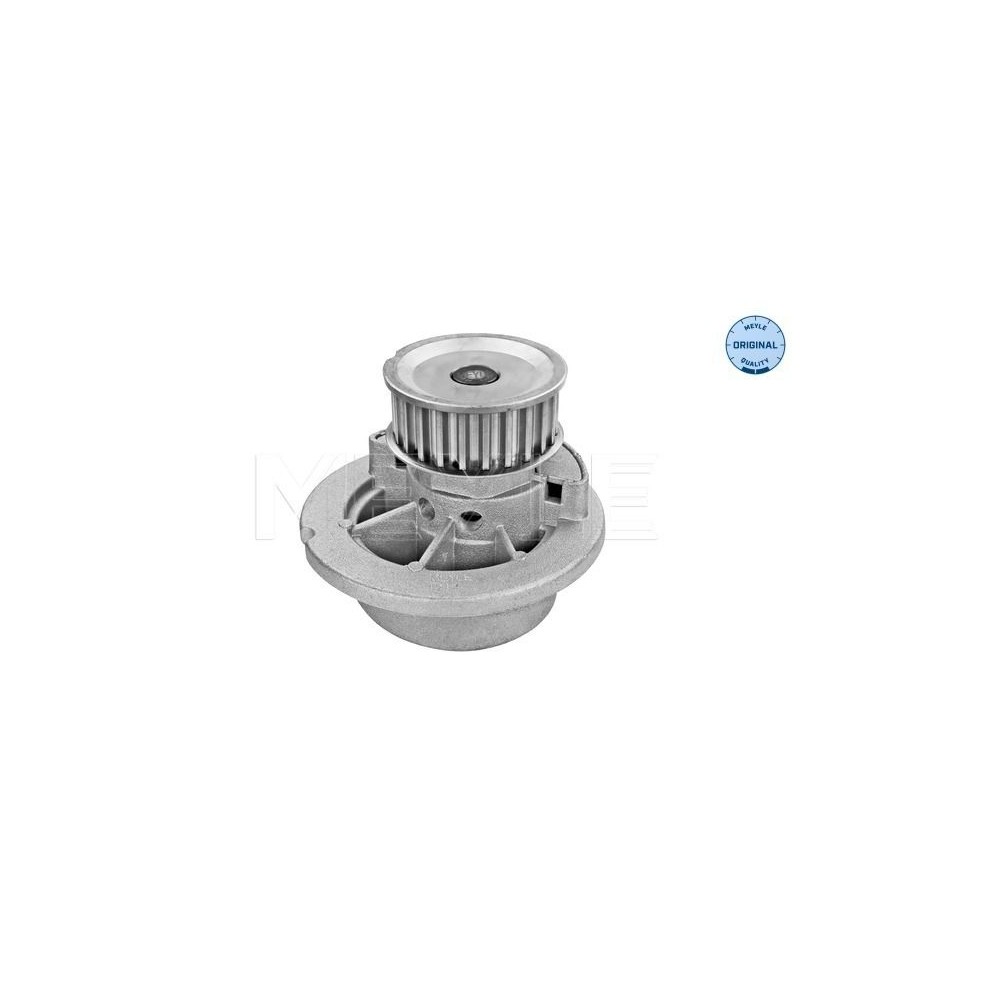 meyle: Wasserpumpe 6136000001