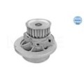meyle: Wasserpumpe 6136000001