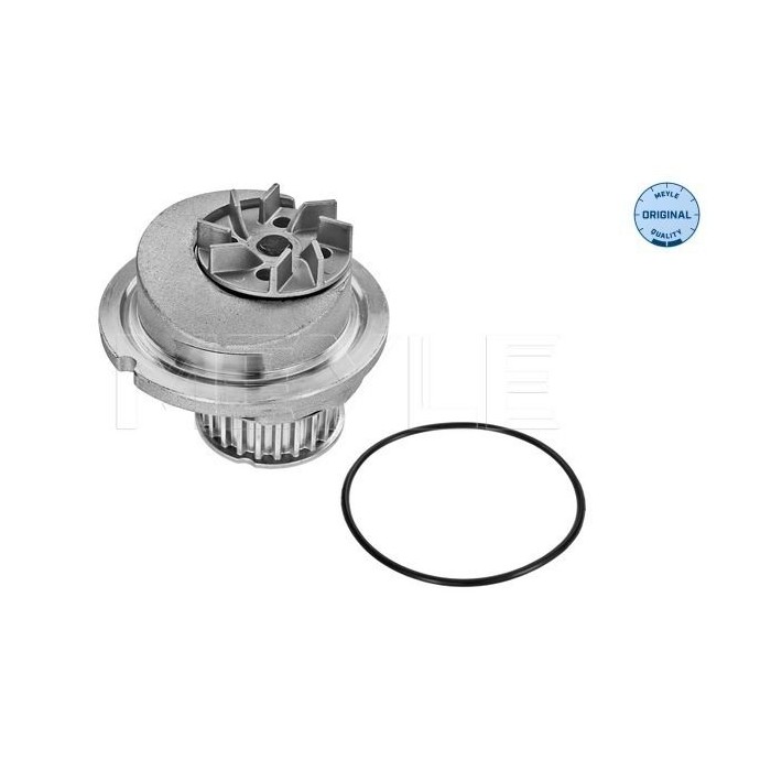 meyle: Wasserpumpe 6136000001