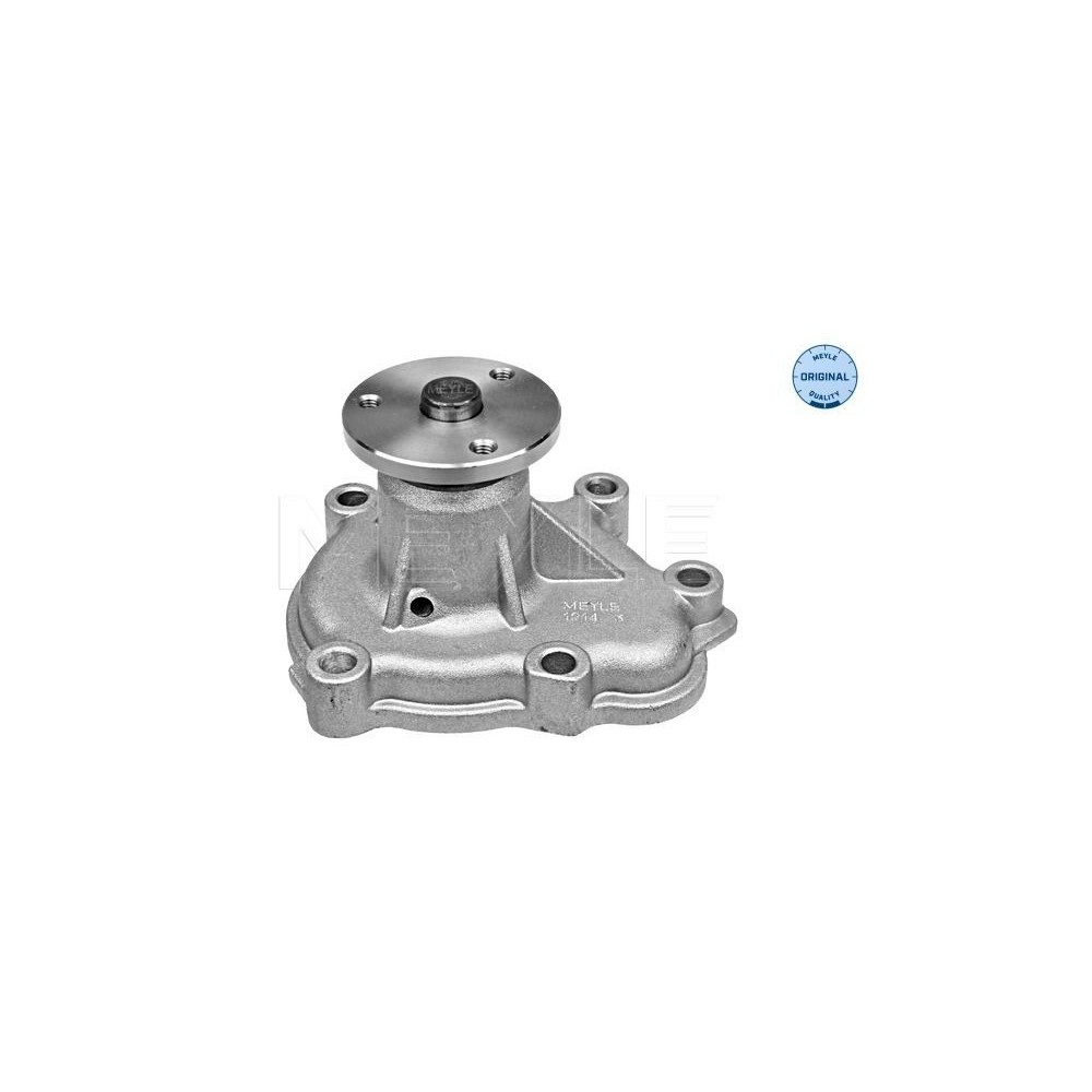 meyle: Wasserpumpe 6136000002