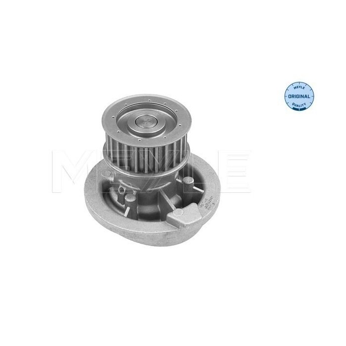 meyle: Wasserpumpe 6136004000