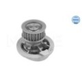meyle: Wasserpumpe 6136004000