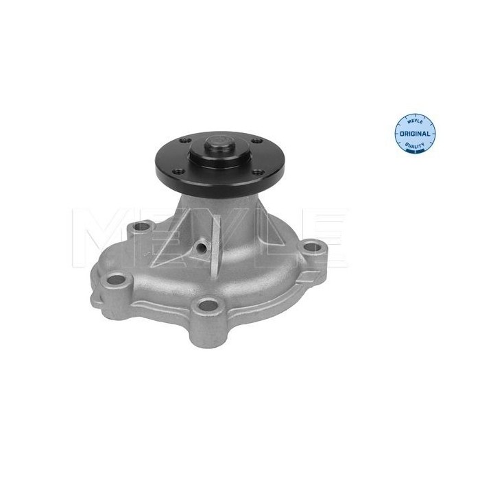 meyle: Wasserpumpe 6136004052