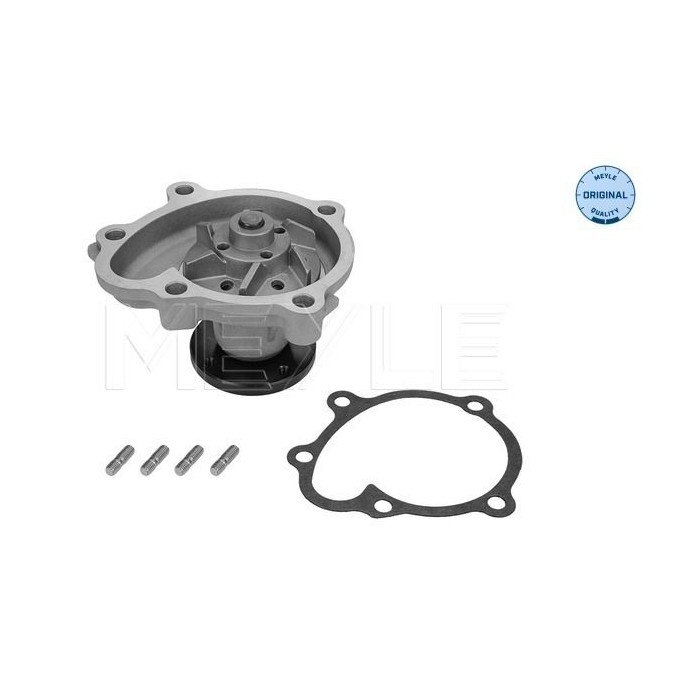 meyle: Wasserpumpe 6136004052
