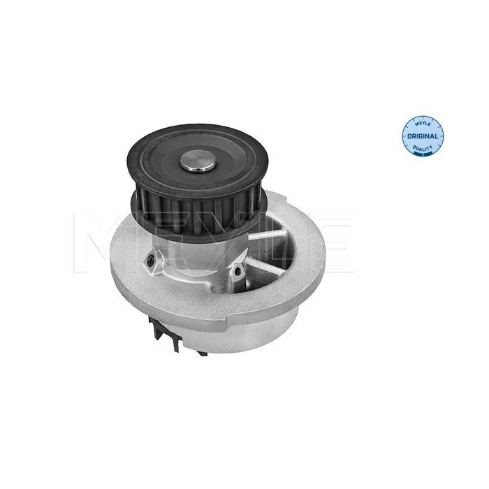 meyle: Wasserpumpe 6136004098
