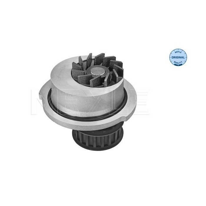 meyle: Wasserpumpe 6136004098