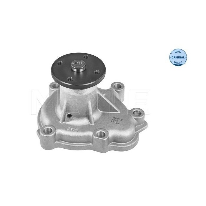 meyle: Wasserpumpe 6136004121