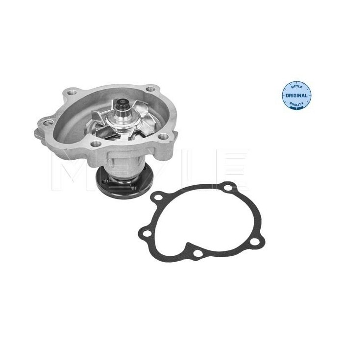 meyle: Wasserpumpe 6136004121