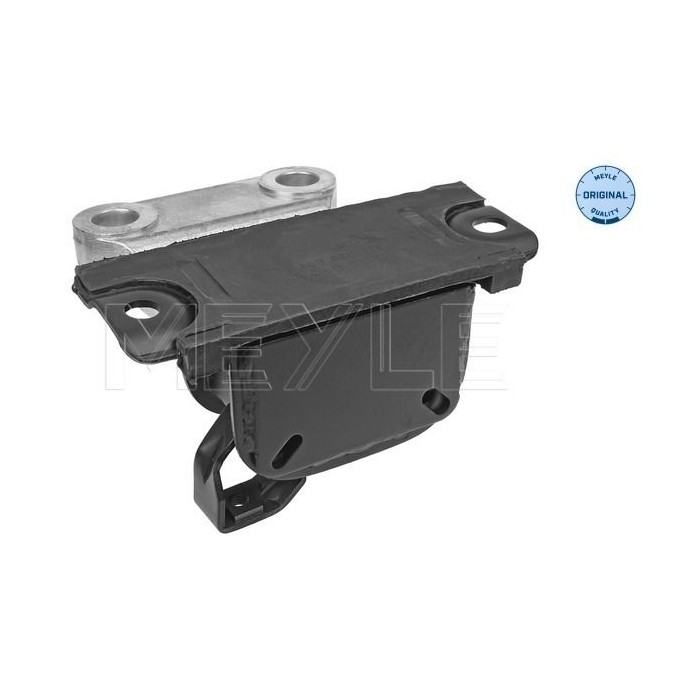 meyle: Lagerung, Motor 6140300011