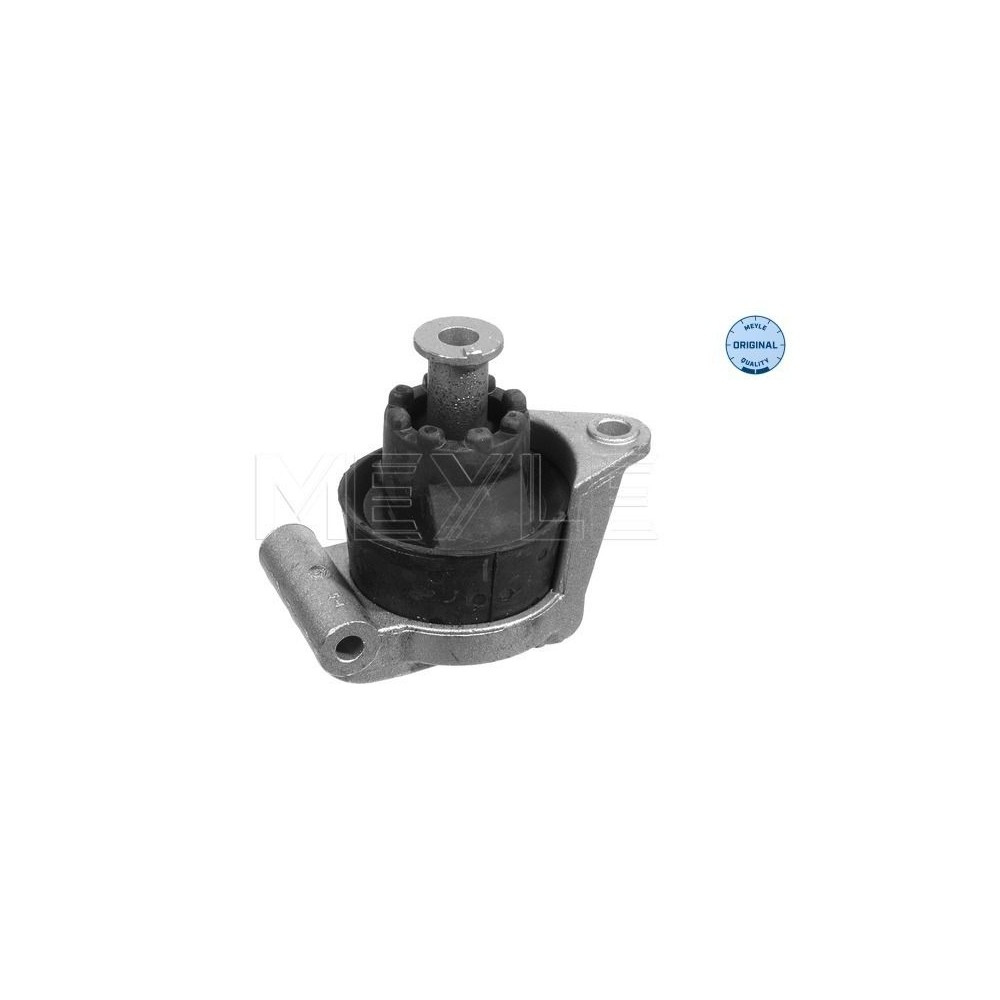 meyle: Lagerung, Motor 6145680006