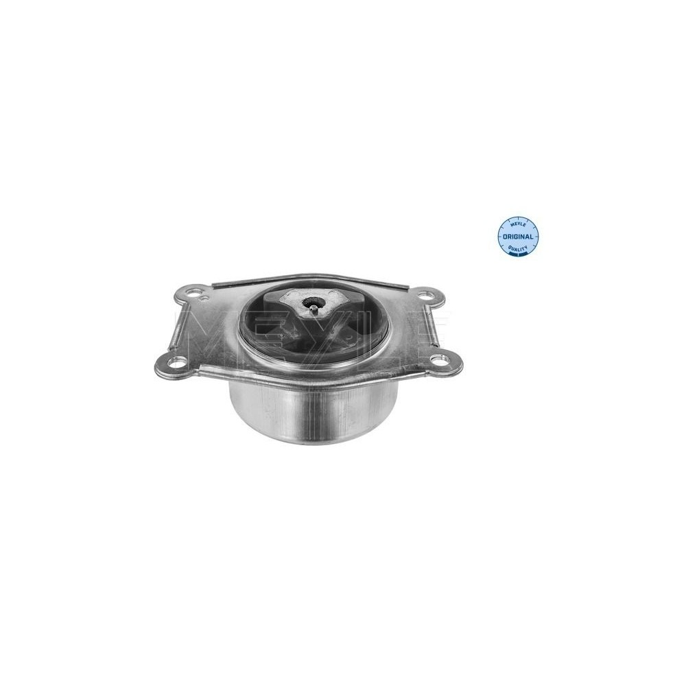 meyle: Lagerung, Motor 6145680013