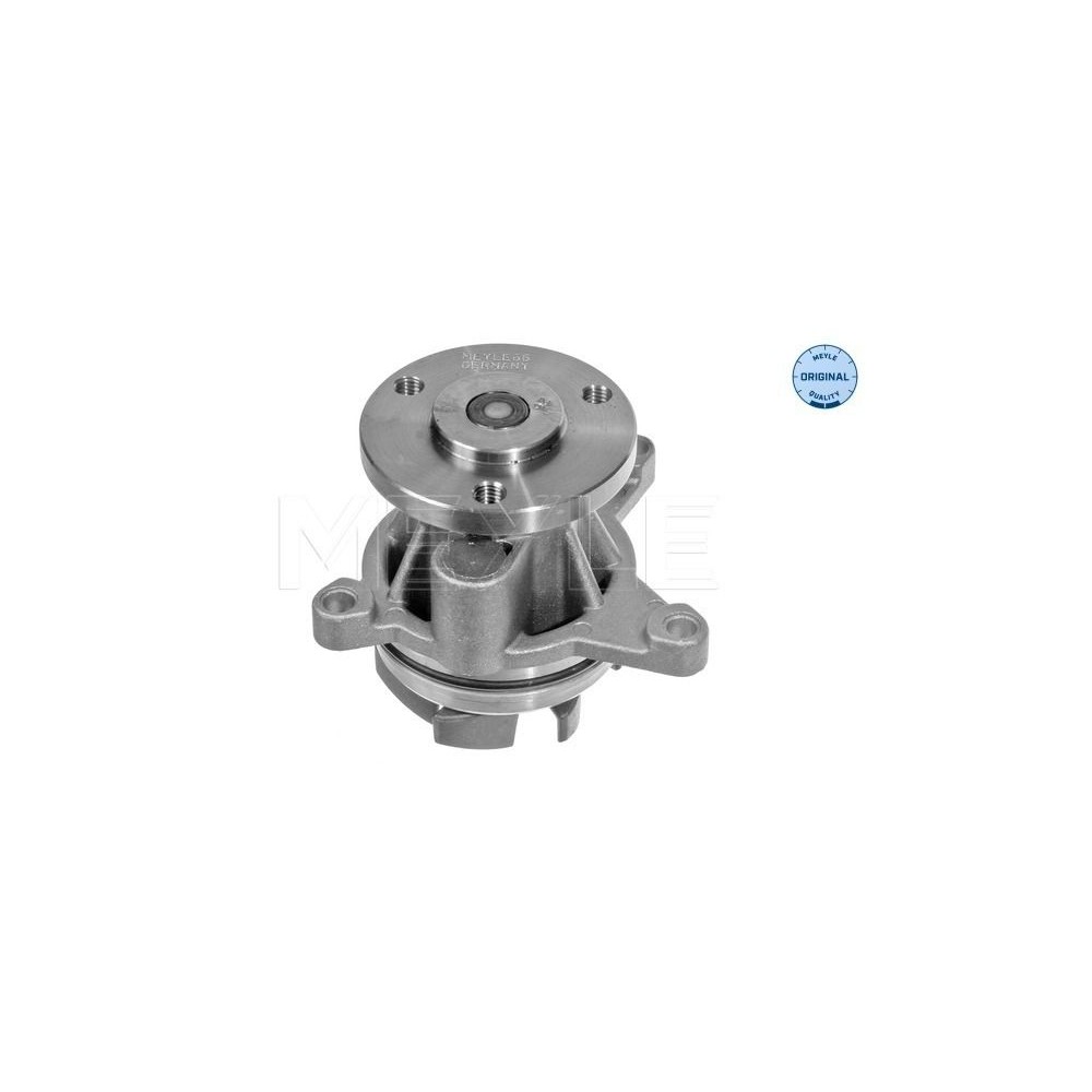 meyle: Wasserpumpe 7132200005