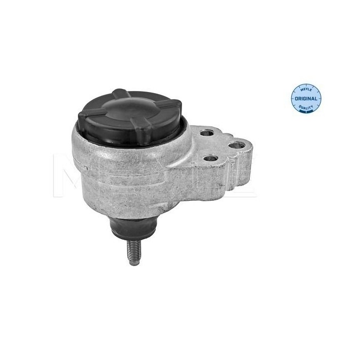 meyle: Lagerung, Motor 7140300012