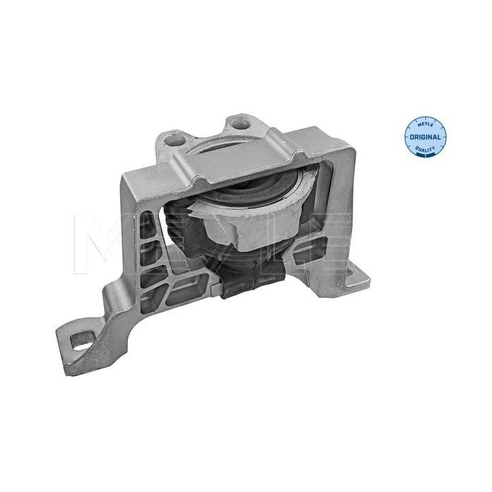 meyle: Lagerung, Motor 7140300022