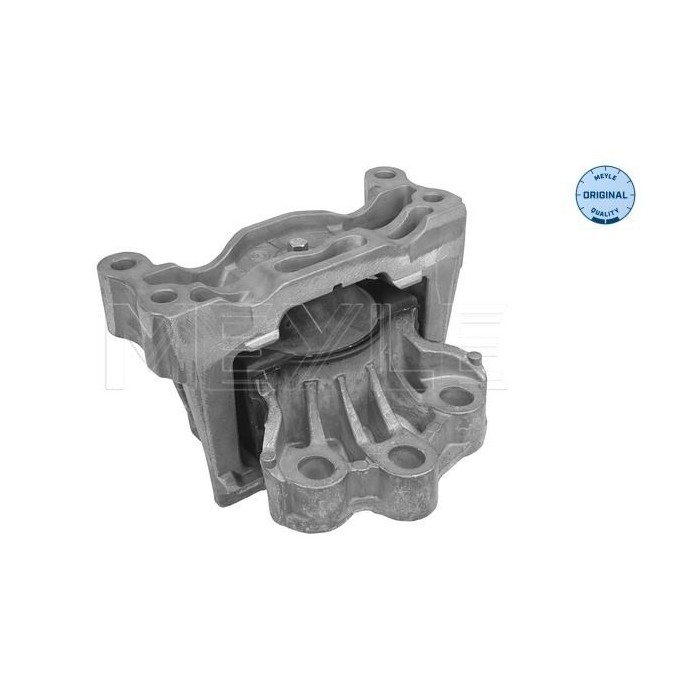 meyle: Lagerung, Motor 7141300012