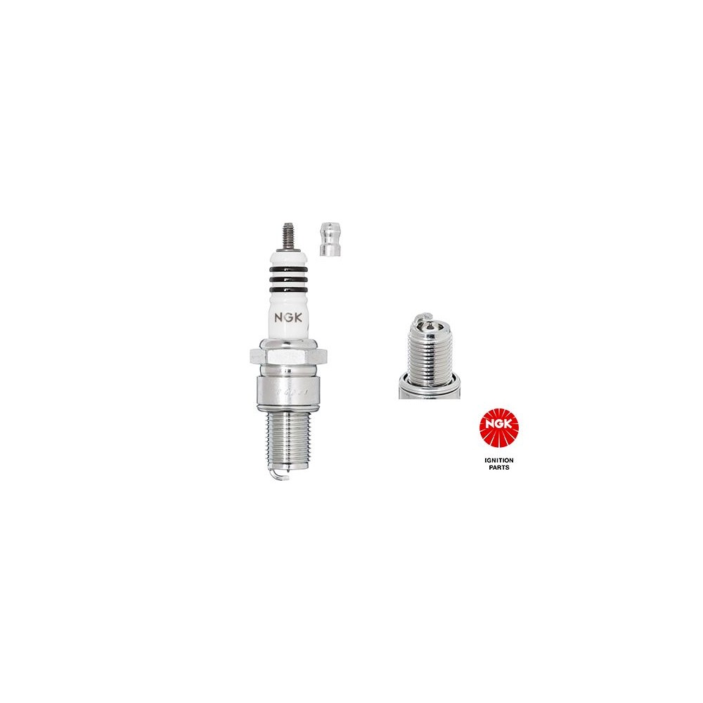 NGK Iridium IX Zündkerze 3981