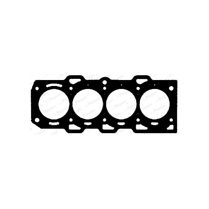 PAYEN Dichtung, Zylinderkopf AA5420