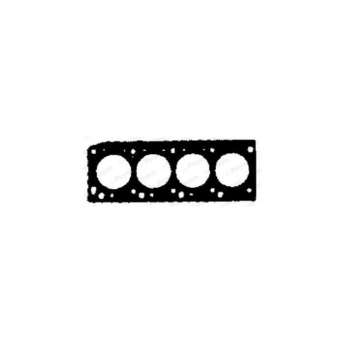 PAYEN Dichtung, Zylinderkopf AB5300