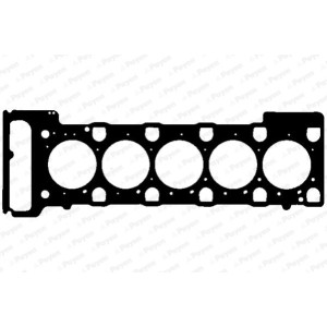 PAYEN Dichtung, Zylinderkopf AB5910