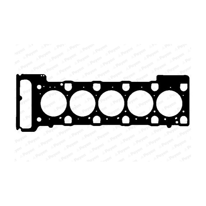 PAYEN Dichtung, Zylinderkopf AB5910