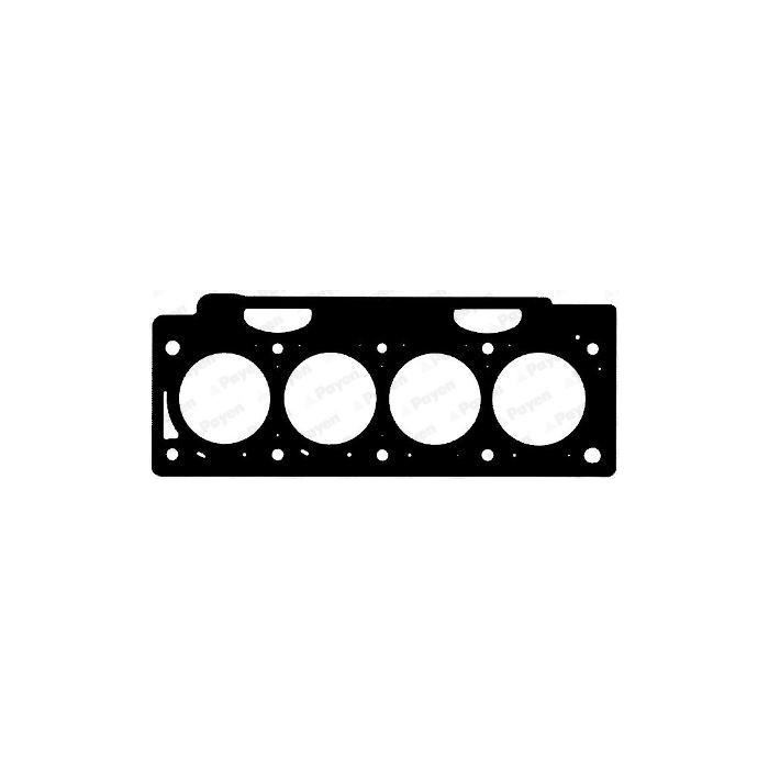 PAYEN Dichtung, Zylinderkopf AC5062