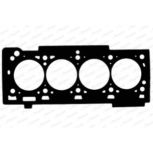 PAYEN Dichtung, Zylinderkopf AC5100