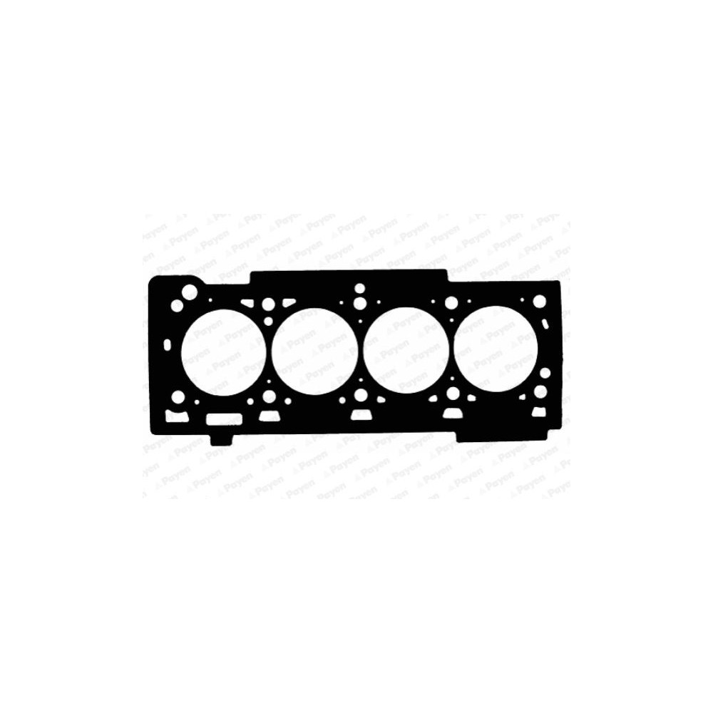 PAYEN Dichtung, Zylinderkopf AC5100