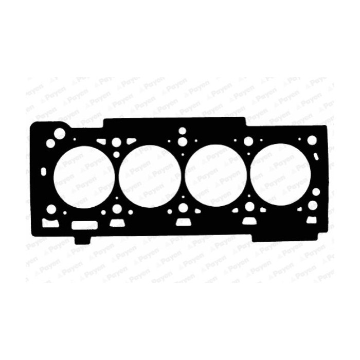 PAYEN Dichtung, Zylinderkopf AC5100