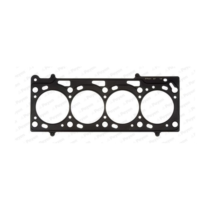 PAYEN Dichtung, Zylinderkopf AC5280