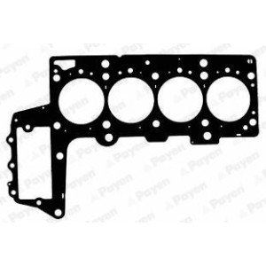 PAYEN Dichtung, Zylinderkopf AC5411