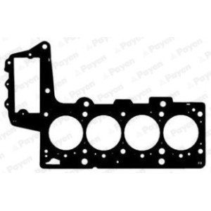 PAYEN Dichtung, Zylinderkopf AC5421