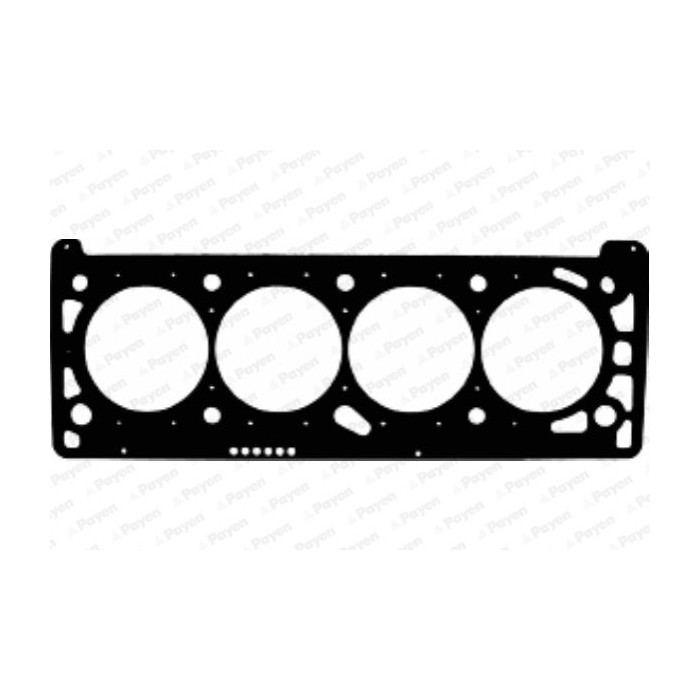 PAYEN Dichtung, Zylinderkopf AC5460