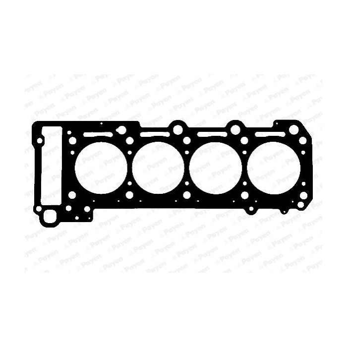 PAYEN Dichtung, Zylinderkopf AC5620