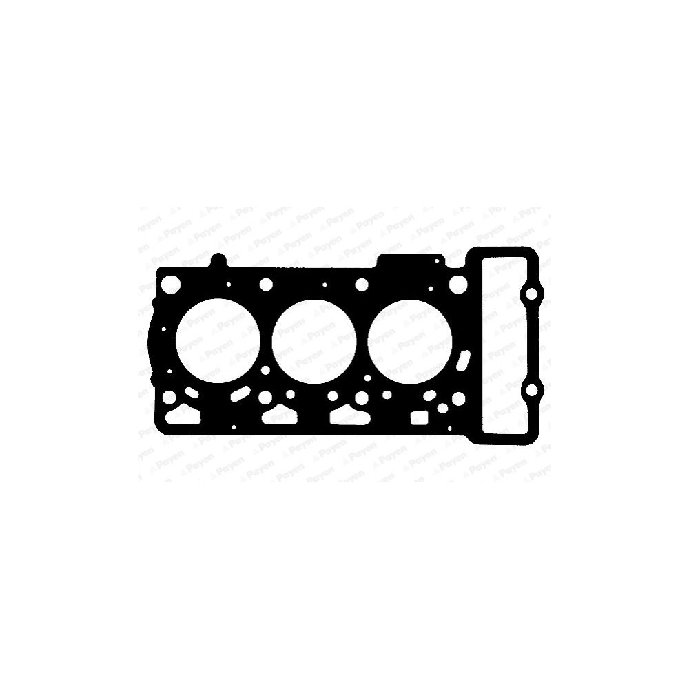 PAYEN Dichtung, Zylinderkopf AC5660
