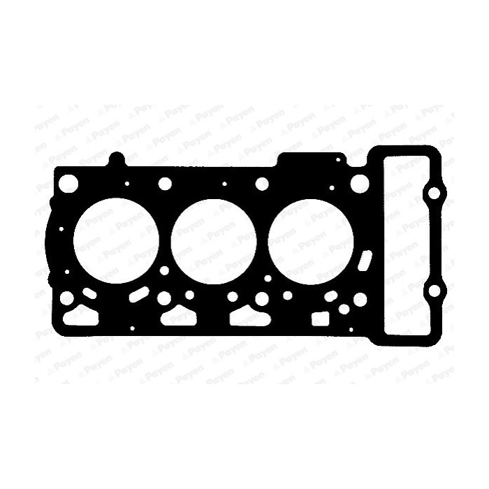 PAYEN Dichtung, Zylinderkopf AC5660