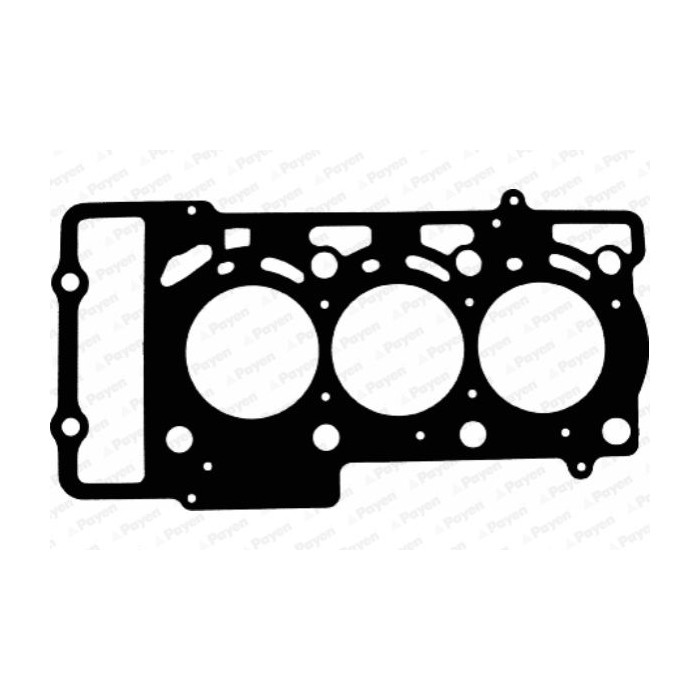 PAYEN Dichtung, Zylinderkopf AC5670