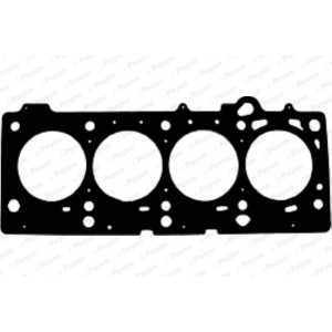 PAYEN Dichtung, Zylinderkopf AC5720