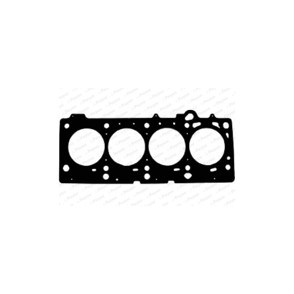 PAYEN Dichtung, Zylinderkopf AC5720