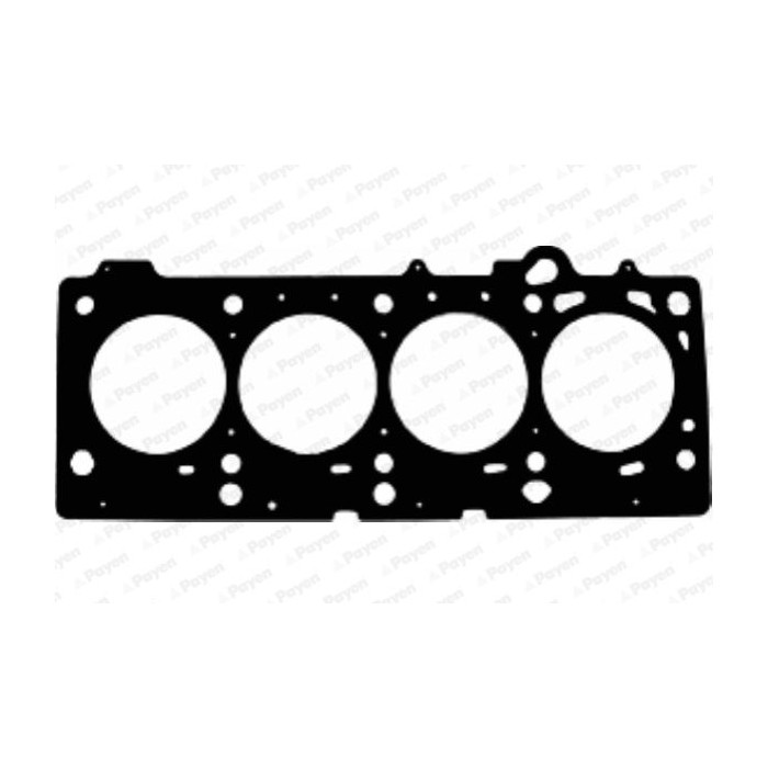 PAYEN Dichtung, Zylinderkopf AC5720