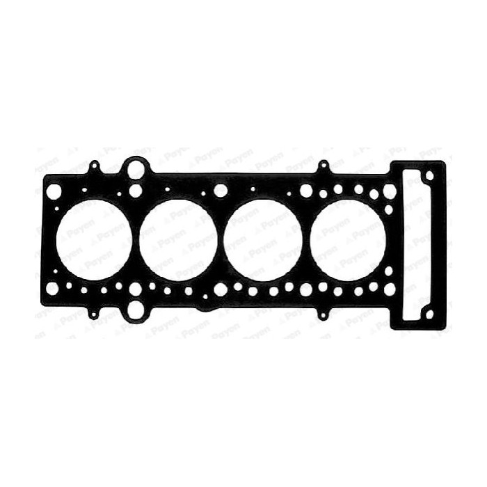 PAYEN Dichtung, Zylinderkopf AC5920