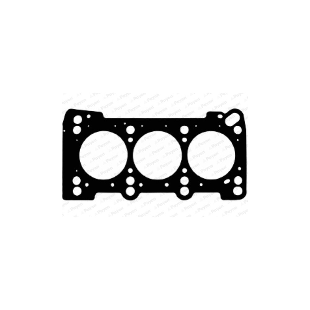 PAYEN Dichtung, Zylinderkopf AC5960