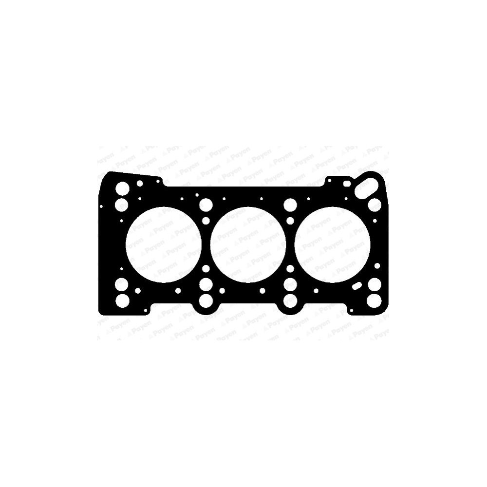 PAYEN Dichtung, Zylinderkopf AC5970