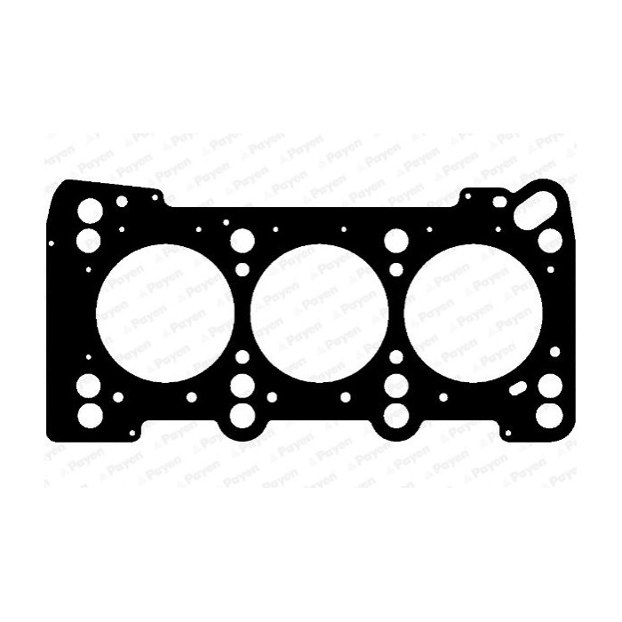 PAYEN Dichtung, Zylinderkopf AC5970