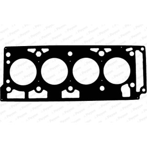 PAYEN Dichtung, Zylinderkopf AD5020