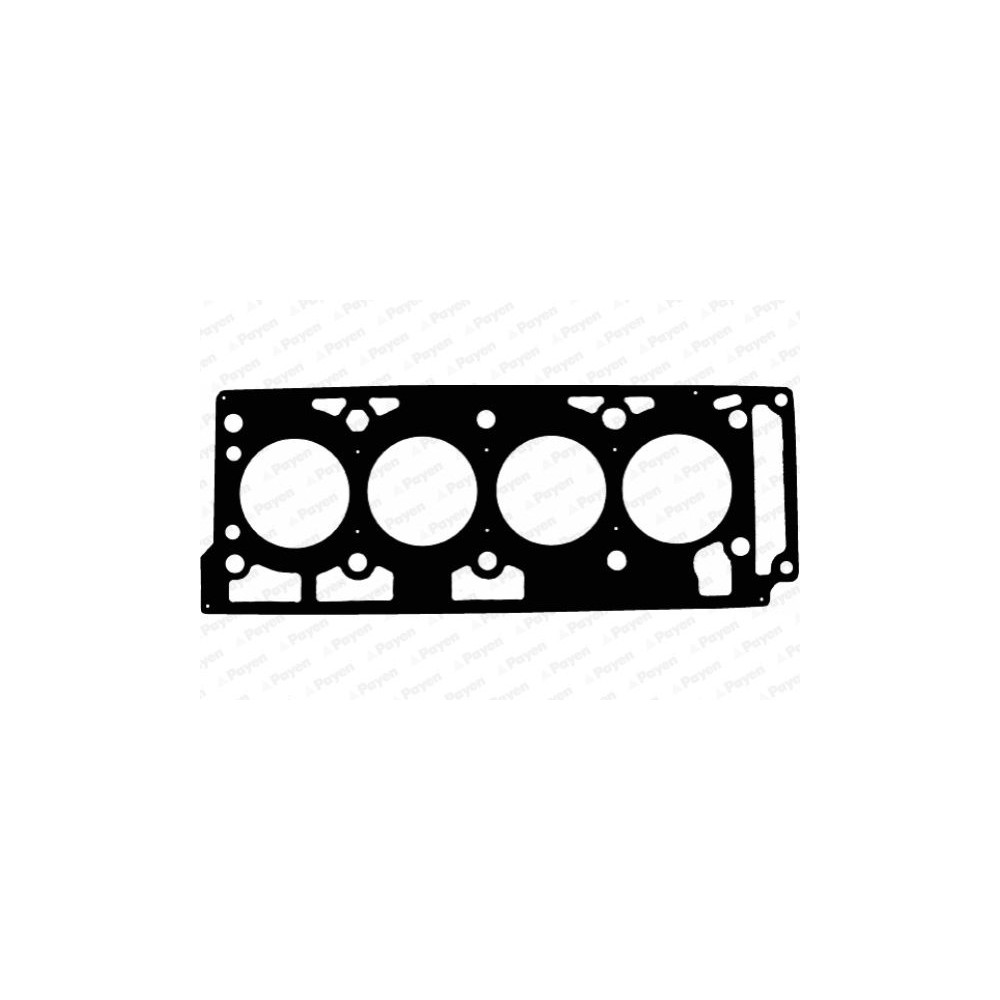 PAYEN Dichtung, Zylinderkopf AD5020