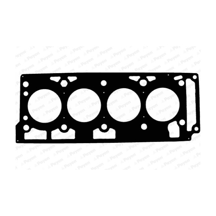 PAYEN Dichtung, Zylinderkopf AD5020