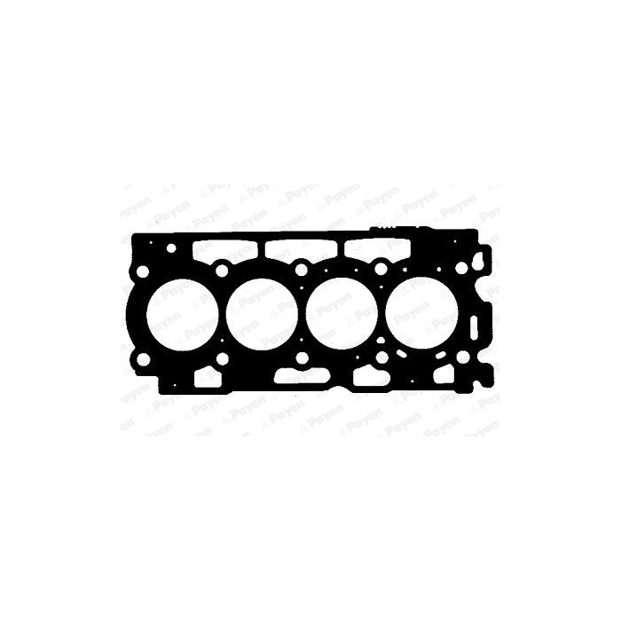PAYEN Dichtung, Zylinderkopf AD5160