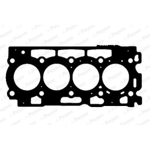 PAYEN Dichtung, Zylinderkopf AD5170