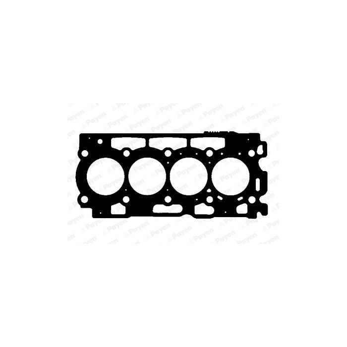 PAYEN Dichtung, Zylinderkopf AD5170